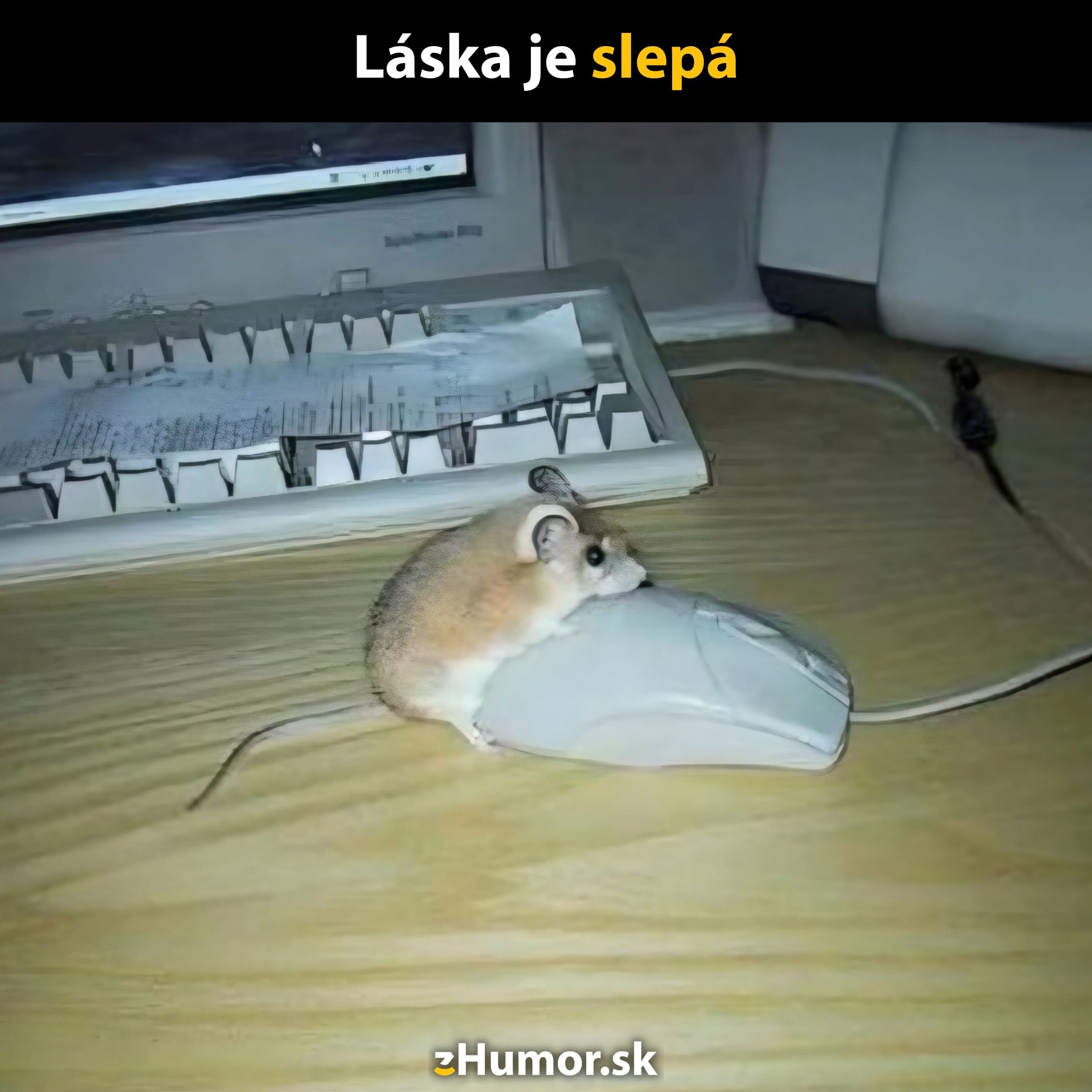 Myš sedí na počítačovej myši pred klávesnicou a monitorom, s textom Láska je slepá.