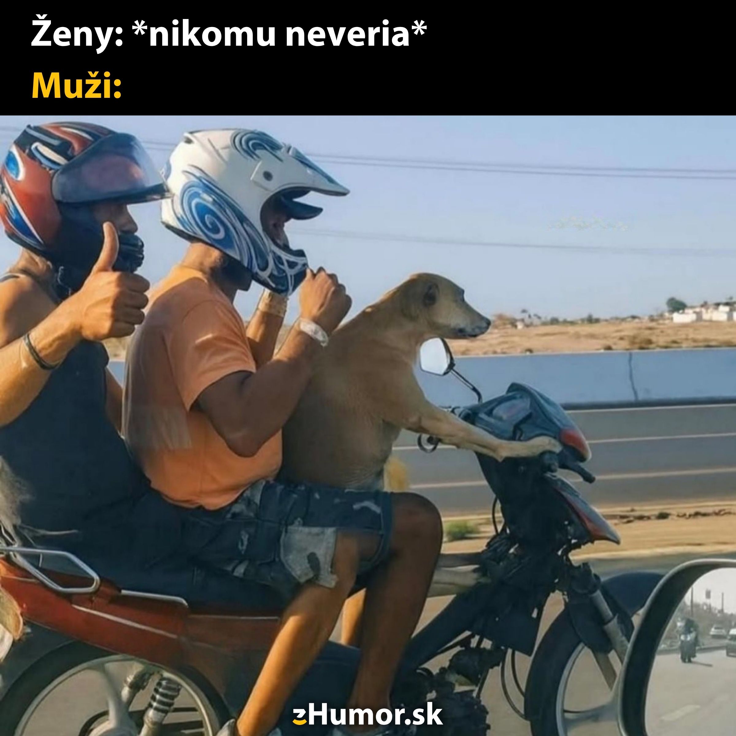 Traja muži na motorke, jeden so psom na riadidlách, jazda s dávkou humoru a odvahy.