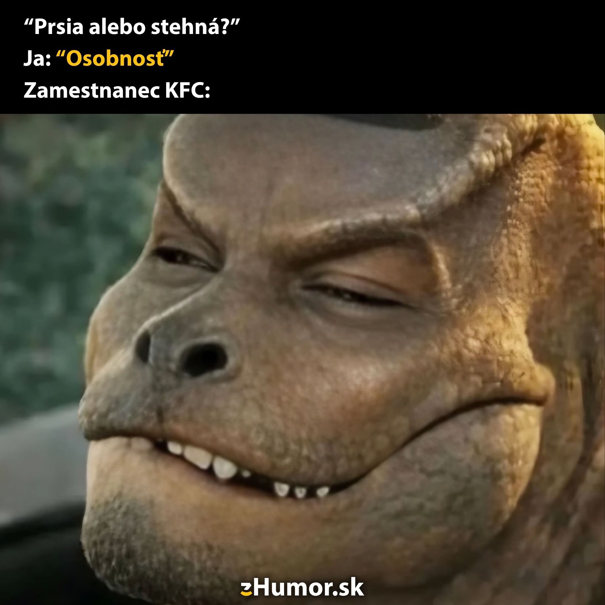 Humorný meme s jašterom reagujúcim na otázku v KFC: Prsia alebo stehná? Odpoveď: Osobnosť.
