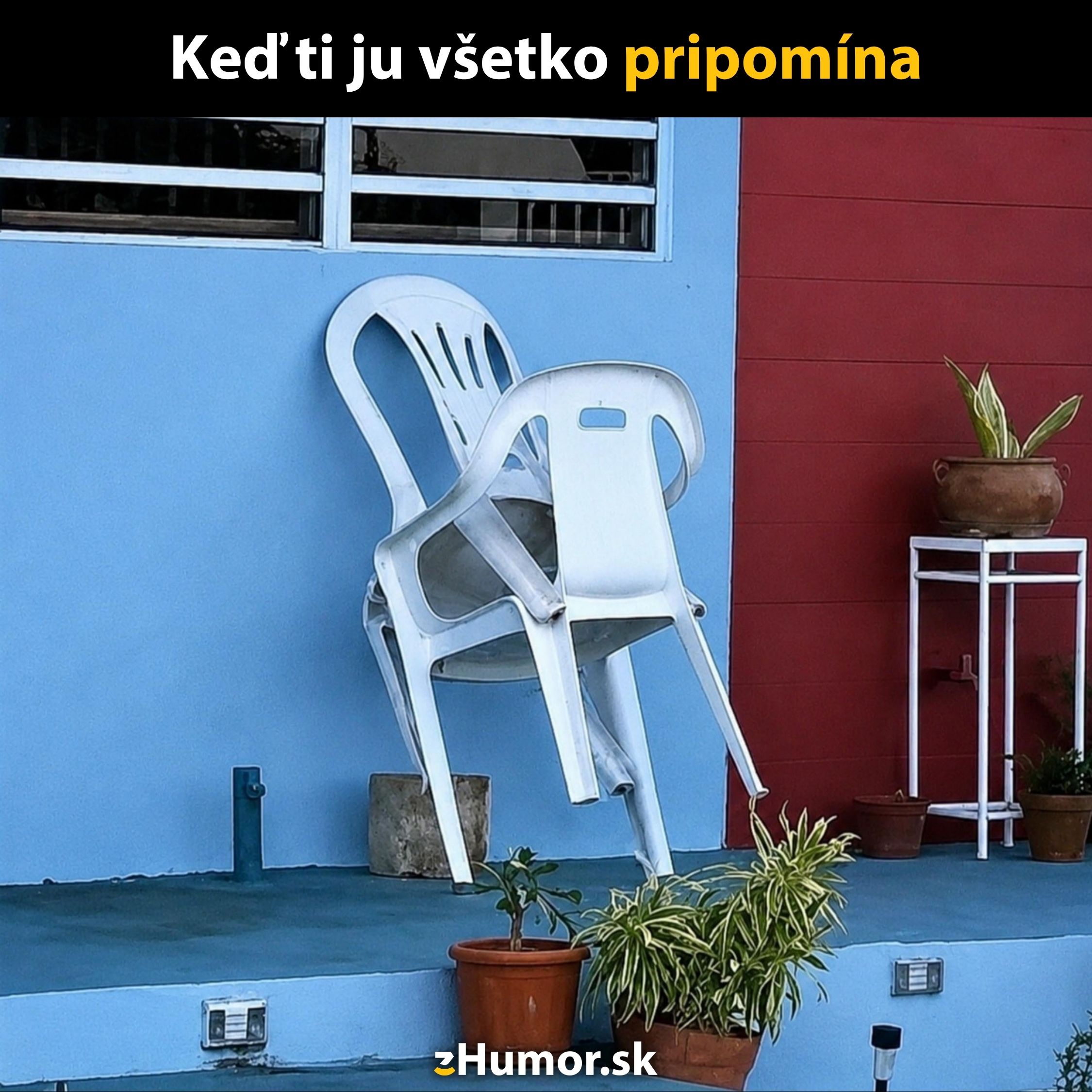 Dve plastové stoličky opreté o modrú stenu pripomínajú objatie, na podlahe sú kvety.