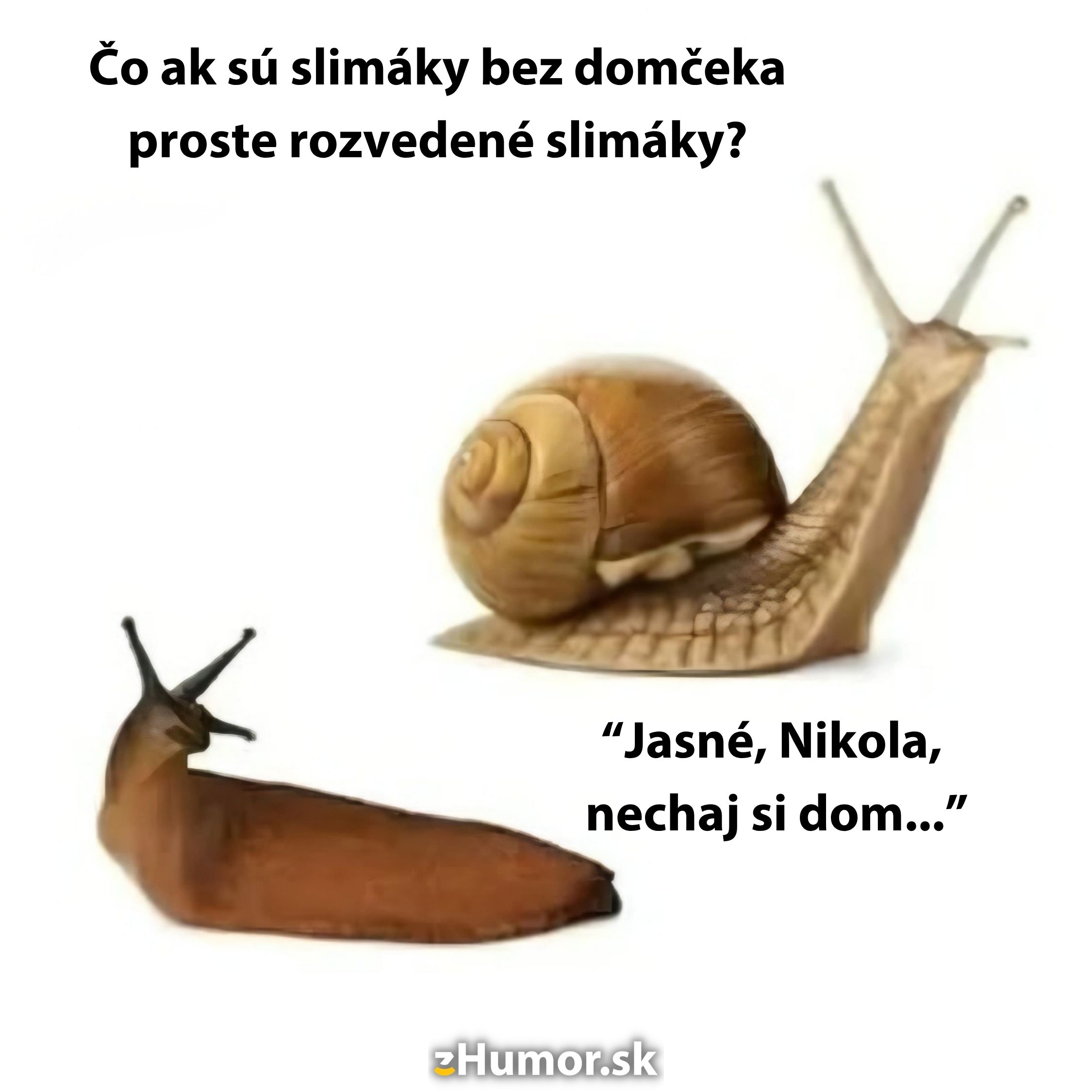 Slimák bez ulity a slimák s ulitou žartujú na tému rozvodu.