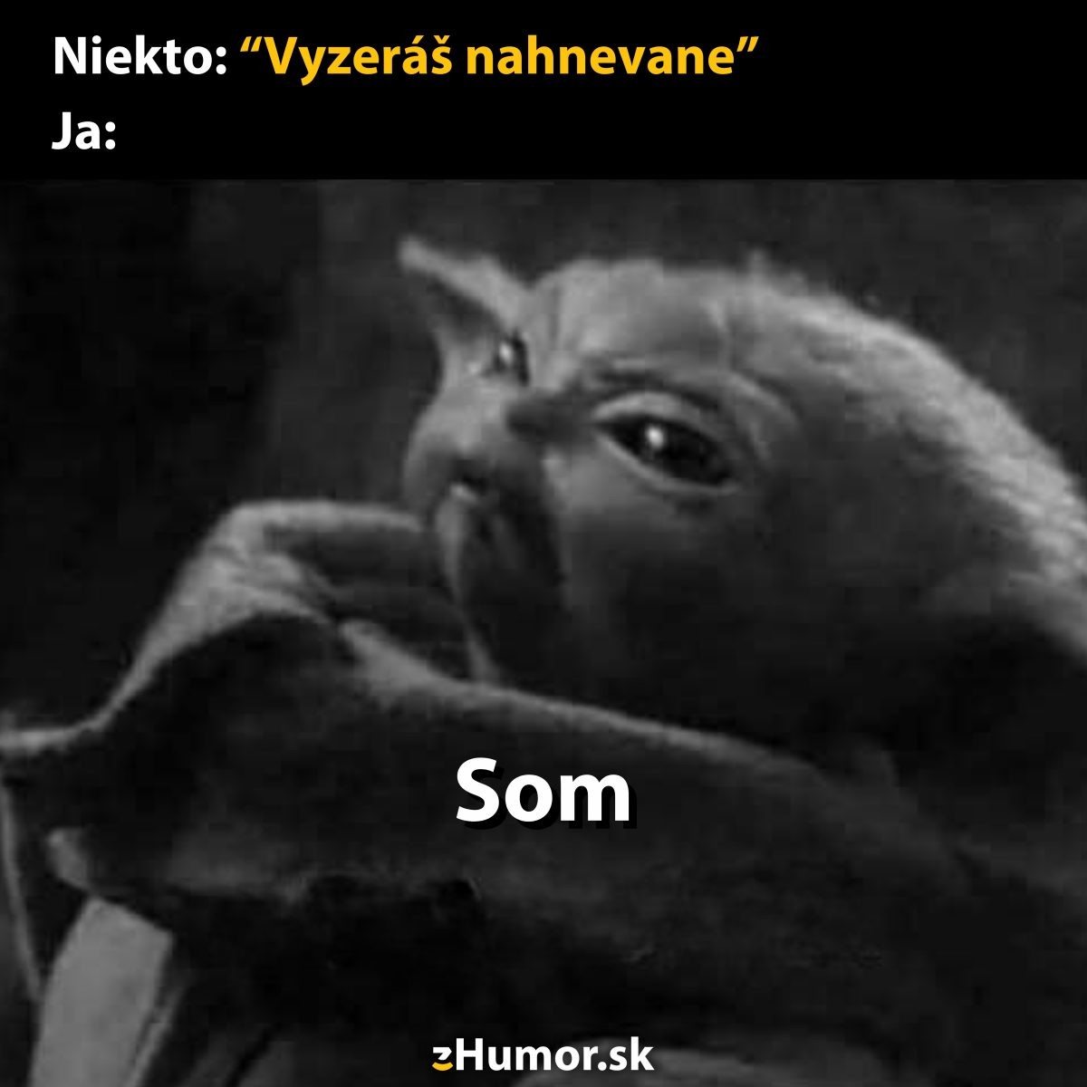 Roztomilý zelený tvor s ironickým výrazom a textom Vyzeráš nahnevane. Som. Mem z humor.sk.