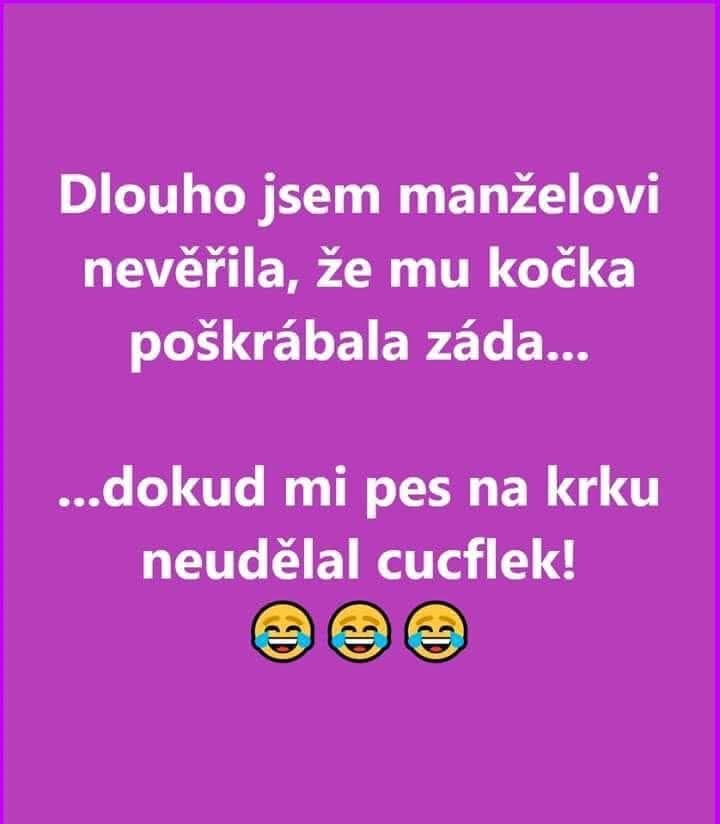 Vtipný text o nedôvere, že mačka poškriabala muža, až kým pes neurobil cucflek. Emotikony smiechu.