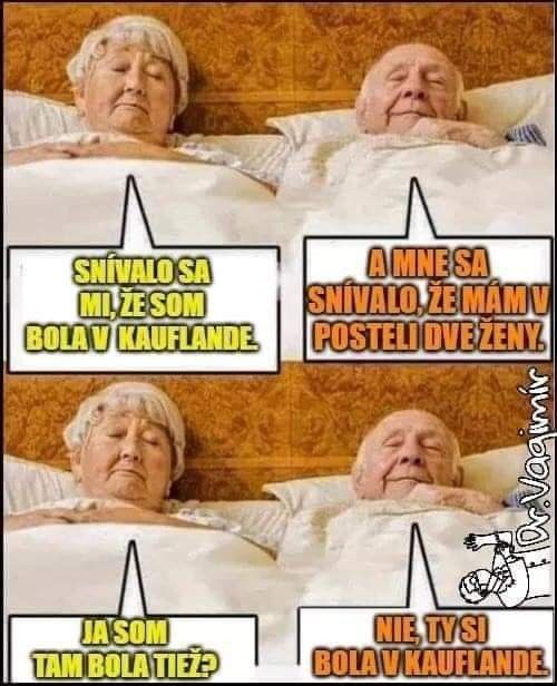 Starší pár v posteli hovorí o snoch: žena snívala o Kauflande, muž o dvoch ženách. Originálny vtipný dialóg.
