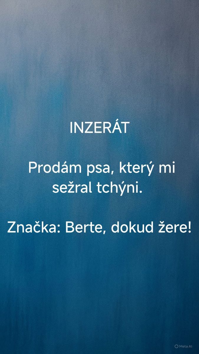 Inzerát s humorným textom: Predám psa, ktorý zjedol svokru. Značka: Berte, kým žerie! Modré pozadie.