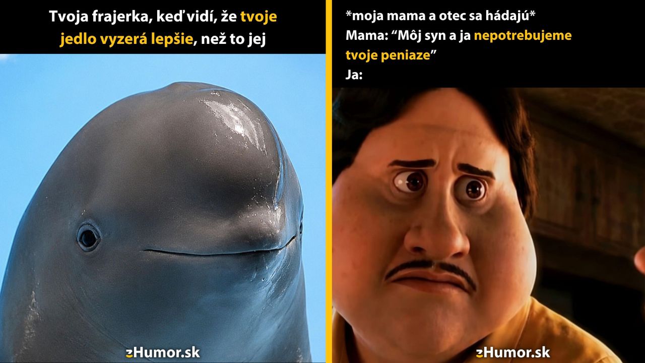 Meme s delfínom a animovanou postavou, vtip na tému žiarlivosti a rodinných financií.