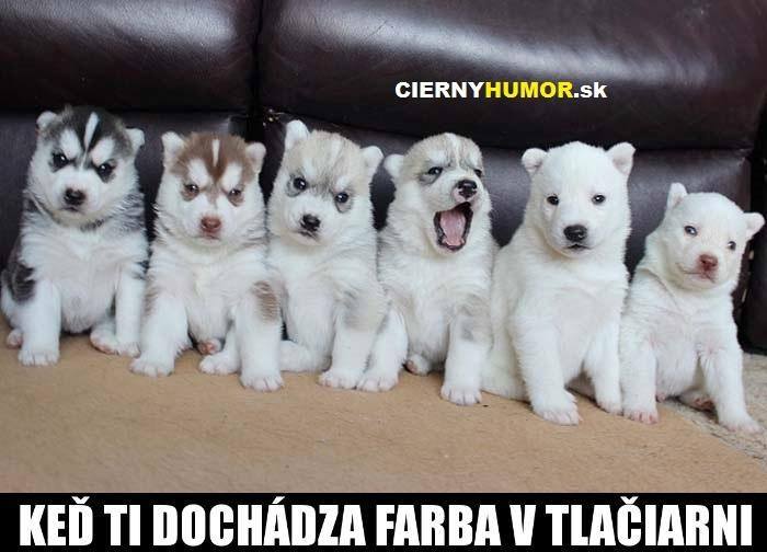 Šteňatá rôznych sfarbení v rade so zábavným textom o dochádzajúcej farbe v tlačiarni.