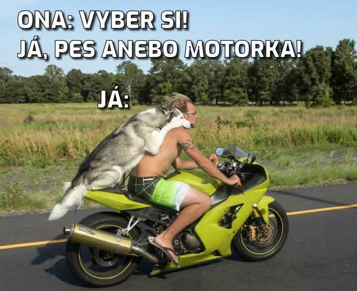 Muž na motorke vezie psa, vtipný moment voľby medzi priateľkou, domácim miláčikom a motocyklom.