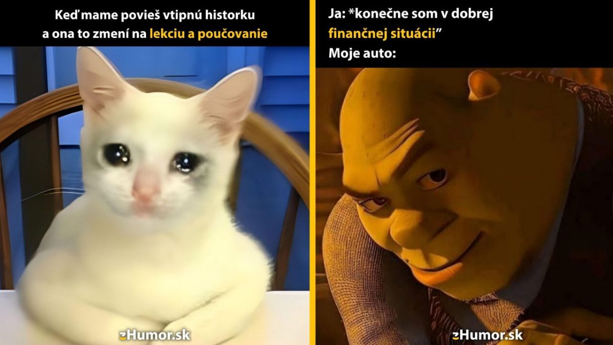 Mačka na stoličke s textom o neočakávanej lekcii od mamy; vedľa postava s ironickým výrazom a komentárom o finančnej