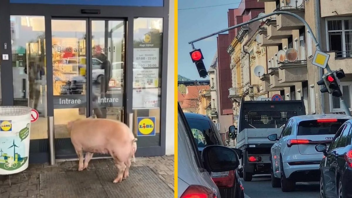 Prasa pred obchodom a rozhodený semafor svedčia o nevšednej situácii v mestskom prostredí.
