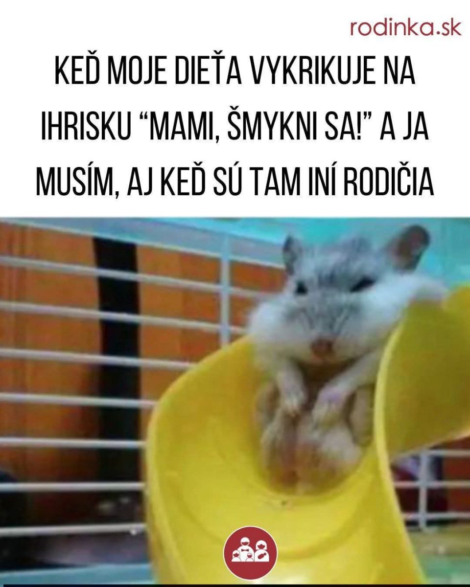 Škrečok šmýkačka: zábavná reakcia na neočakávané výzvy rodičov na ihrisku.