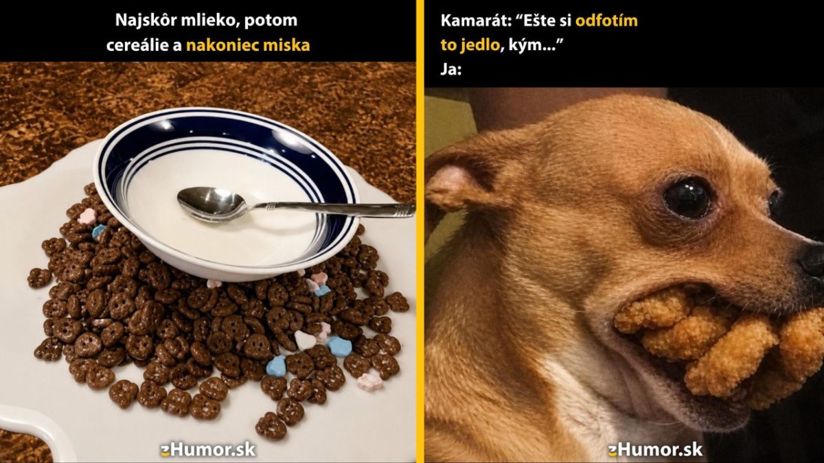 Vtipný kontrast: cereálie s mliekom mimo misky a pes s jedlom v papuli.
