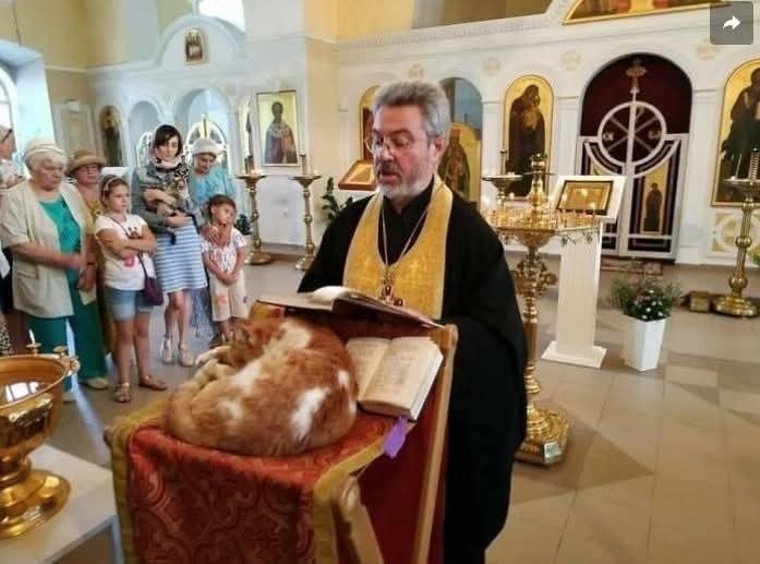 Kňaz číta z knihy, kým mačka odpočíva na pulte v kostole, prítomní sledujú obrad.
