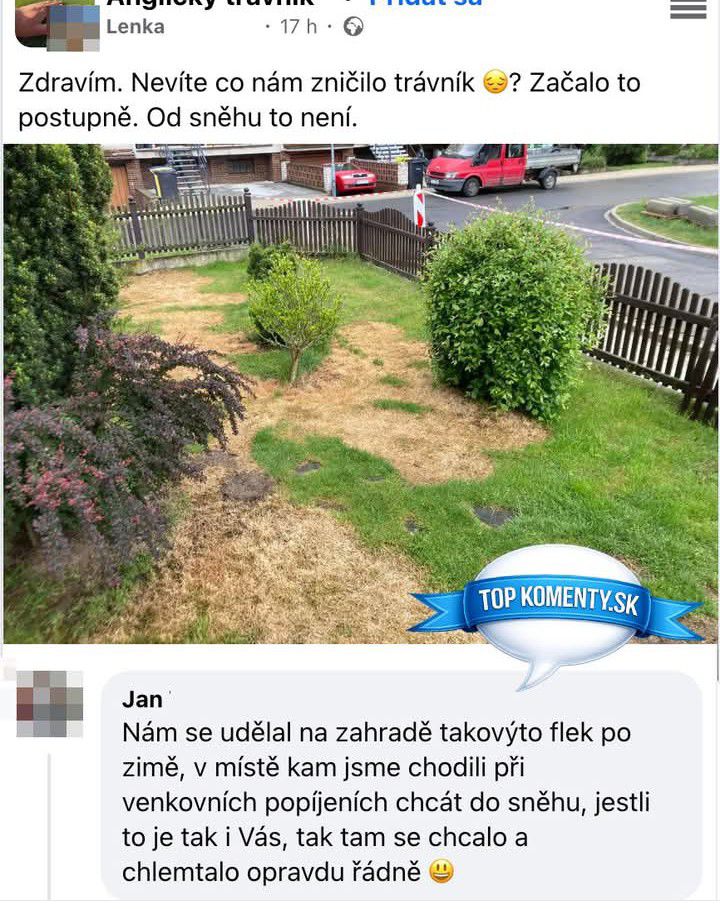Záhrada s hnedými škvrnami na trávniku, hľadanie príčiny poškodenia trávnika, diskusia na sociálnej sieti.