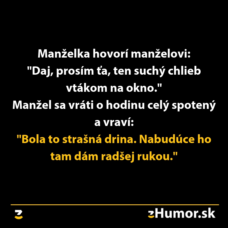 Muž žartuje o vkladaní chlebíka pre vtáky na okno. Humorný text na čiernom pozadí.