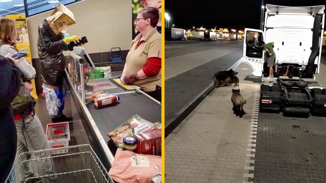 Osobitý zákazník v supermarkete a rodina diviakov pri kamióne na parkovisku v noci, zábavné momenty všedných dní.
