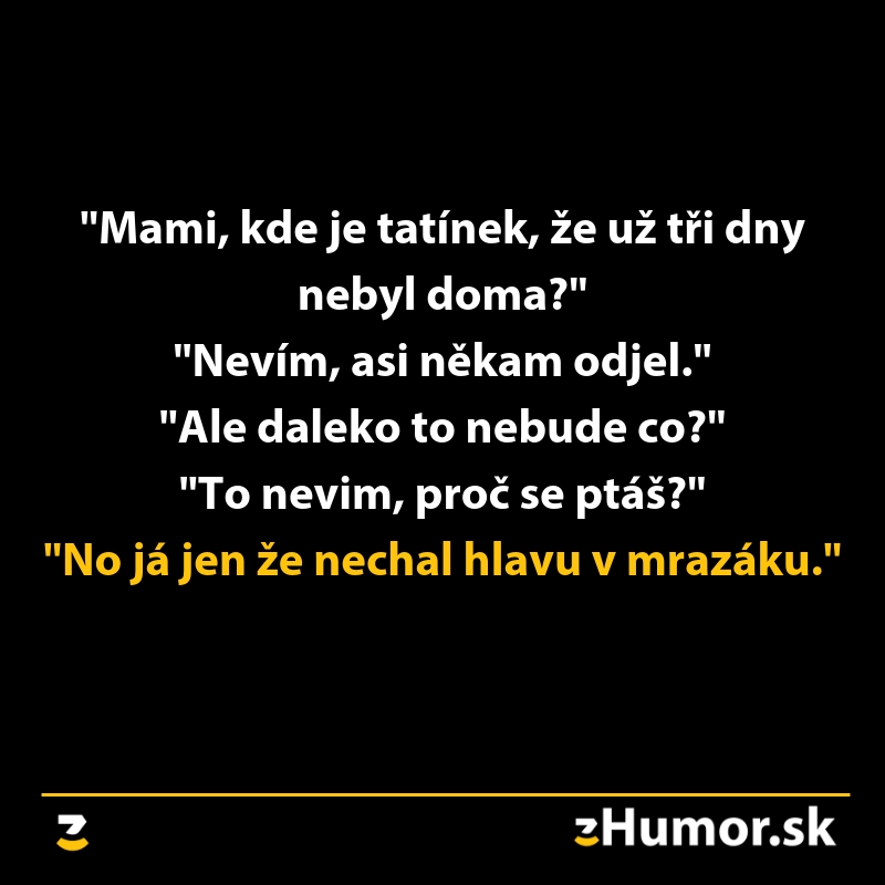 Vtipný rozhovor dieťaťa s mamou o zmiznutom otcovi s čiernym humorom na tému mrazáku.