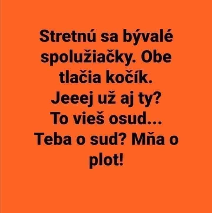 Bývalé spolužiačky sa stretli a rozprávajú o osude pri tlačení kočíka. Vtipný dvojzmysel o súde a plote.