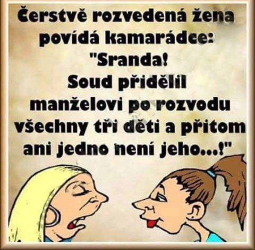 Dve ženy sa rozprávajú, jedna je zaskočená z rozhodnutia súdu ohľadom detí po rozvode. Textový vtip o irónii.