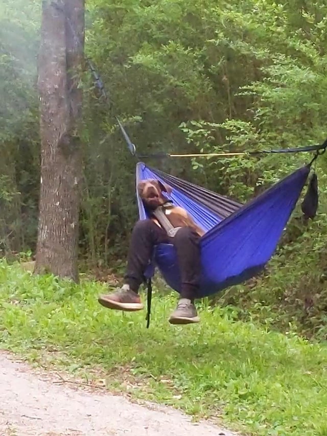 Osoba relaxuje v modrej hamake v lese, obklopená zeleňou, na pokojném mieste blízko cesty.