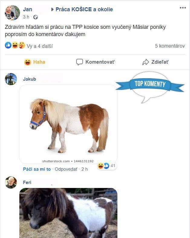 Popis obrázku: Diskusia na Facebooku o hľadaní práce s obrázkami poníkov a reakciami užívateľov.