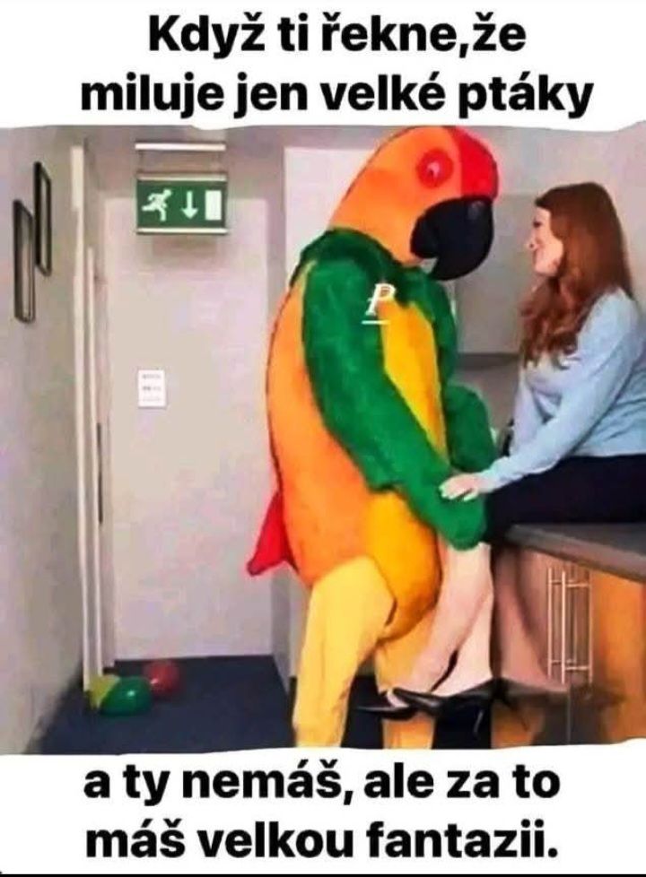 Osoba v kostýme papagája stojí pred ženou, ktorá sedí na stole a smeje sa.