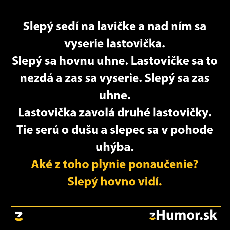 Vtipný text: Slepec sa uhýba vtáčiemu trusu. Ponaučenie: Slepec všetko vidí. Zábavný príspevok z humor-sk na čiernom pozadí.