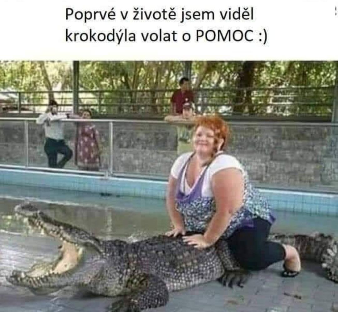 Žena sedí na chrbte krokodíla v zoo, s úsmevom a vtipným popisom na obrázku.