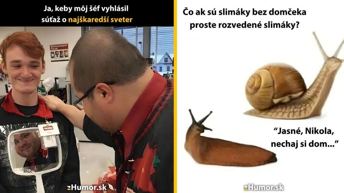 Dve vtipné obrázkové scény: súťaž o najškaredší sveter a slimáky bez domčeka ako rozvedené slimáky.
