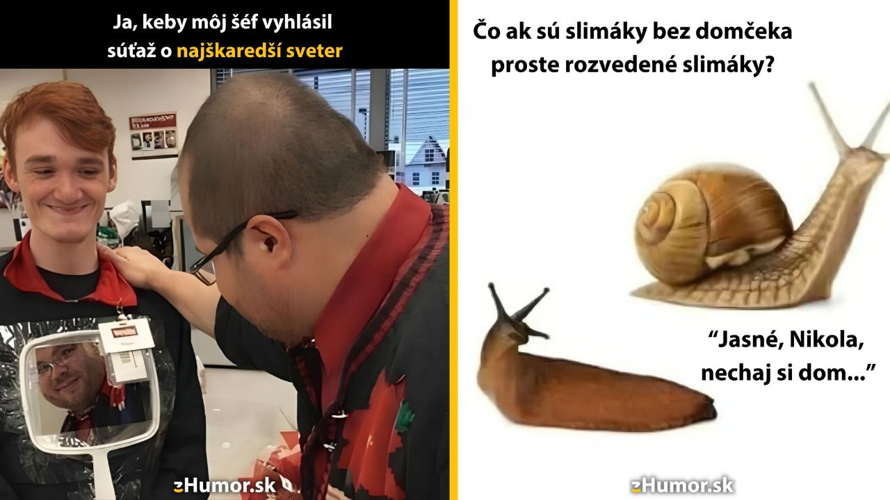 Dve vtipné obrázkové scény: súťaž o najškaredší sveter a slimáky bez domčeka ako rozvedené slimáky.