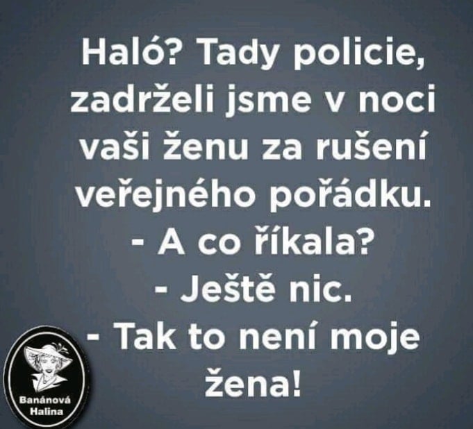 Telefonát s políciou: Zadržali sme vašu ženu. Čo povedala? Nič. Tak to nie je moja žena!