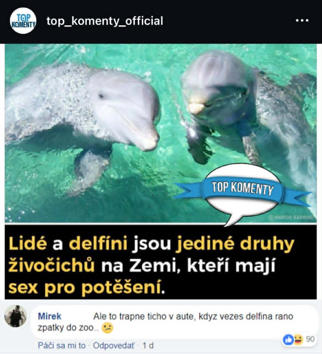 Obrázok dvoch delfínov s textom o správaní ľudí a delfínov, doplnený vtipným komentárom o ceste do zoo.