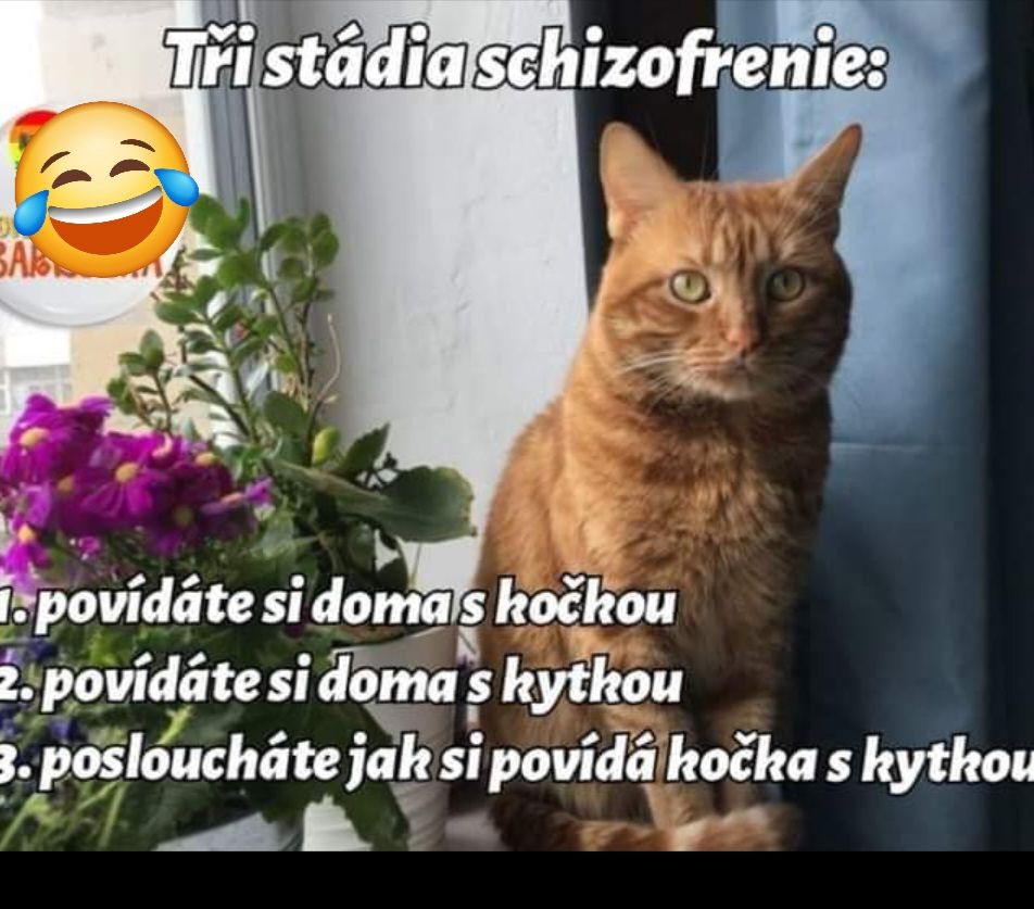 Obrázok mačky pri kvetináči s vtipným textom: Tri štádiá schizofrénie na domácej scéne.