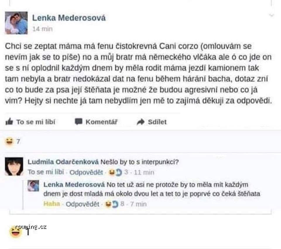 Konverzácia na Facebooku o chovateľských otázkach ohľadom šteniat. Bez interpunkcie.