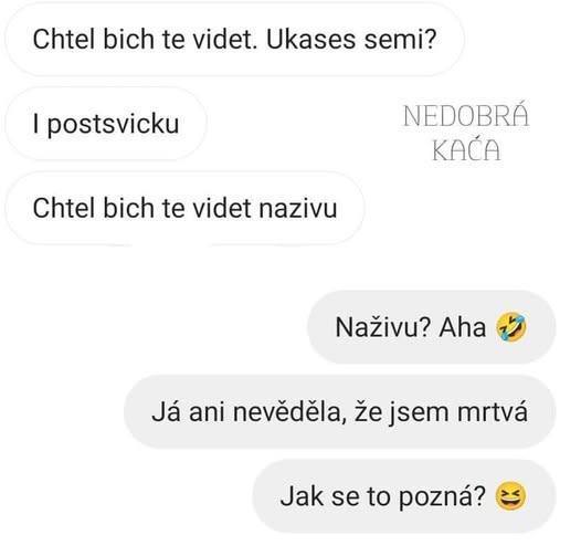 Online konverzácia s humorným textom o tom, že sa chce niekto vidieť naživo, ale hovoria o „mŕtvom“ stave.