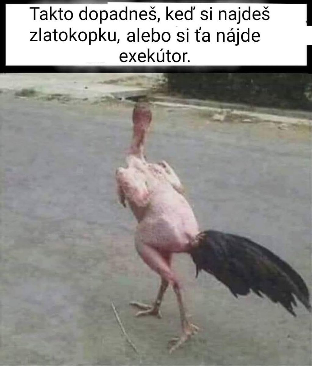 Vtipná karikatúra o dôsledkoch finančných problémov s obraným kuracím.