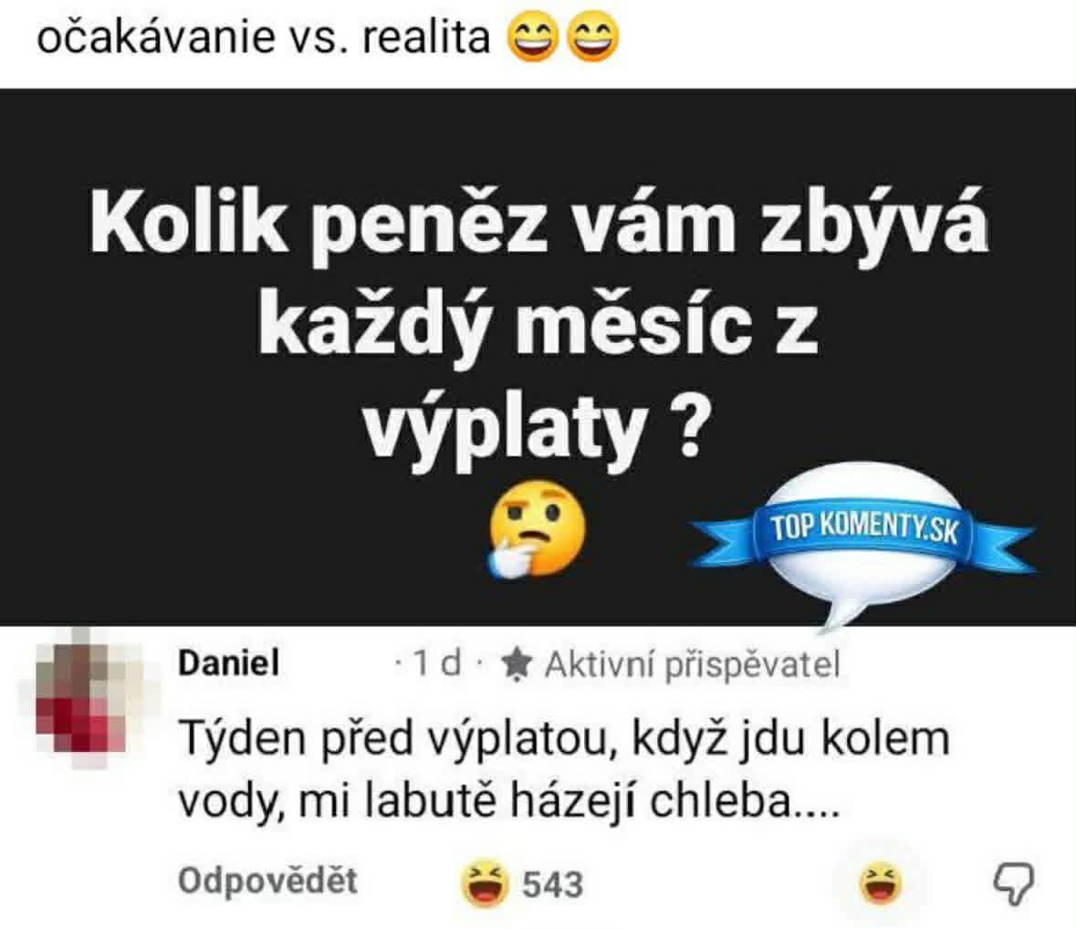 Očakávania vs. realita: Koľko peňazí vám zostáva z výplaty? Vtipná odpoveď o hádzaní chleba labutiam.