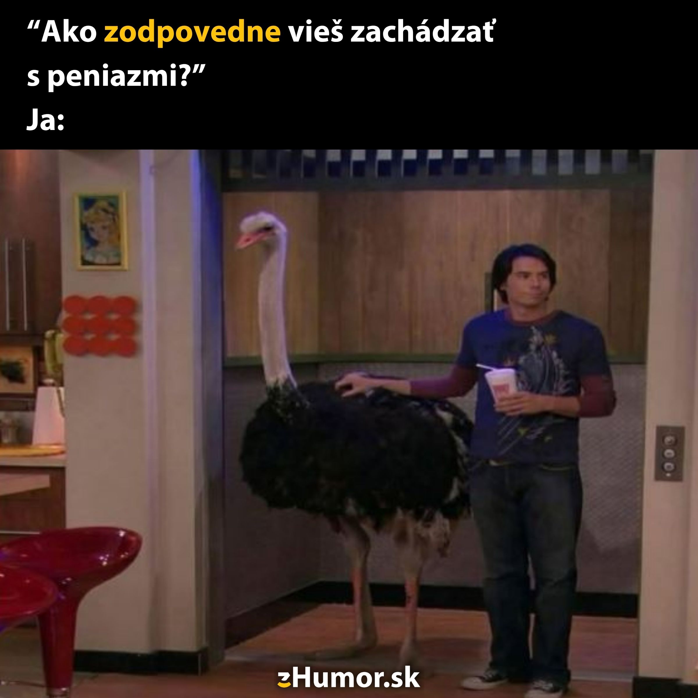 Osoba drží pštrosa v modernom interiéri, vtipný text o finančnej zodpovednosti.