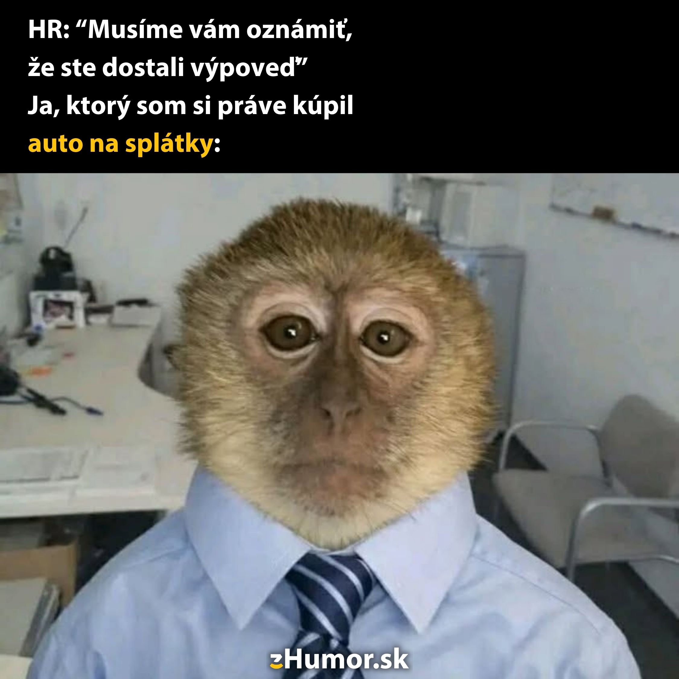 Opica v obleku v kancelárii vyjadruje šok po obdržaní výpovede, hoci si práve kúpila auto na splátky.
