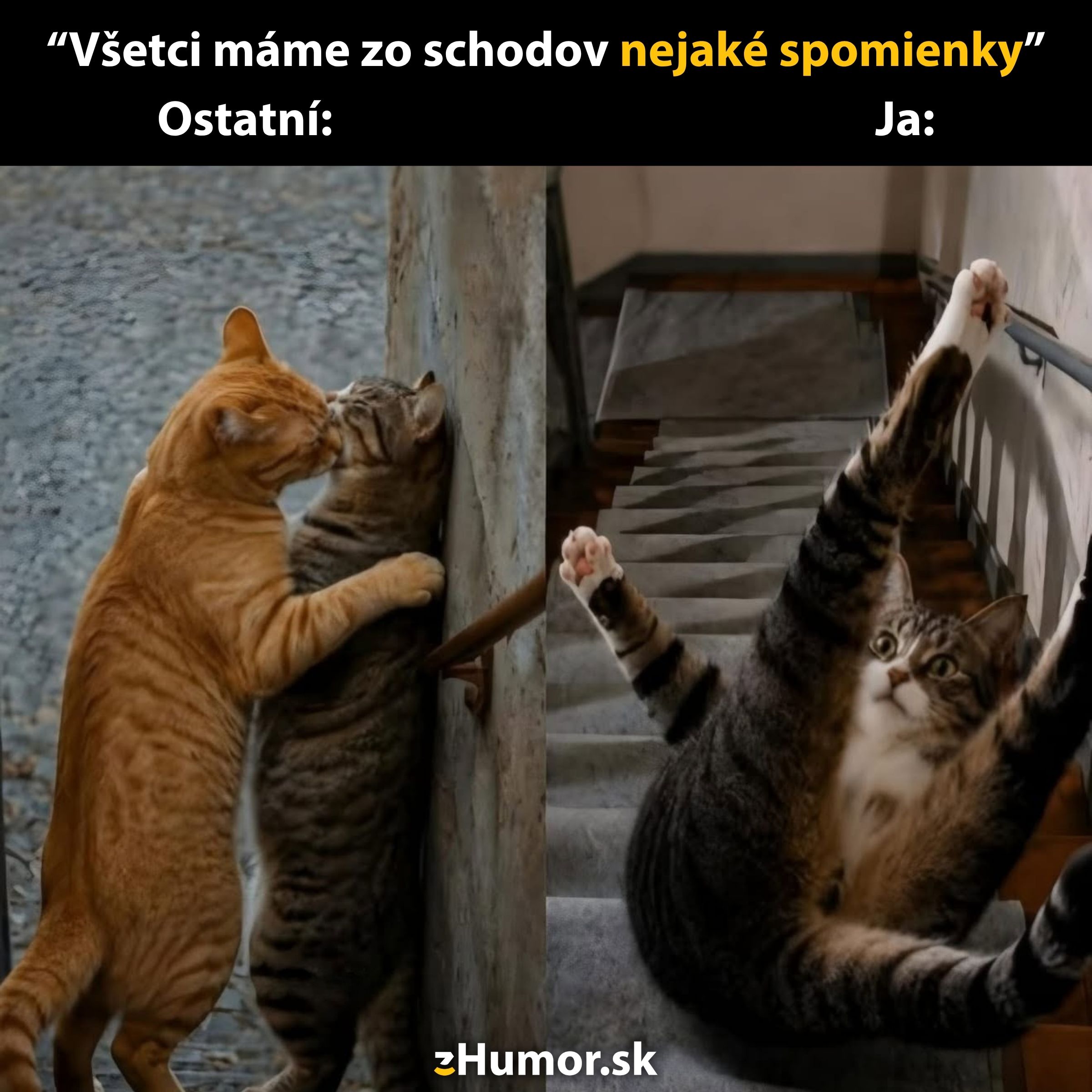 Dve mačky na schodoch: jedna romantická, druhá vtipne padá dolu. Zábavná scéna zo schodov.