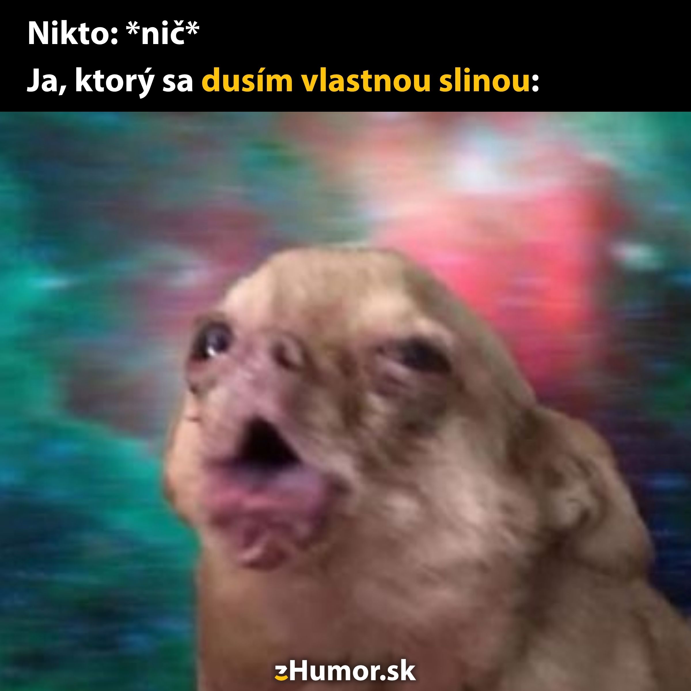 Pes s komickou grimasou a nápisom Nikto: *nič* Ja, ktorý sa dusím vlastnou slinou.
