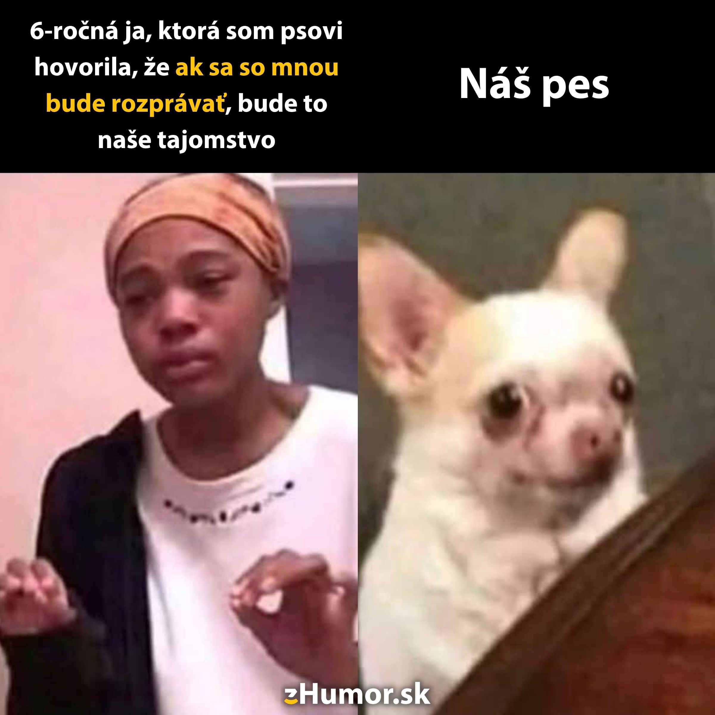 Dieťa sa zveruje psovi a sľubuje mu tajomstvo. Pes sa tvári nedotknute. Vtipná situácia z detstva.