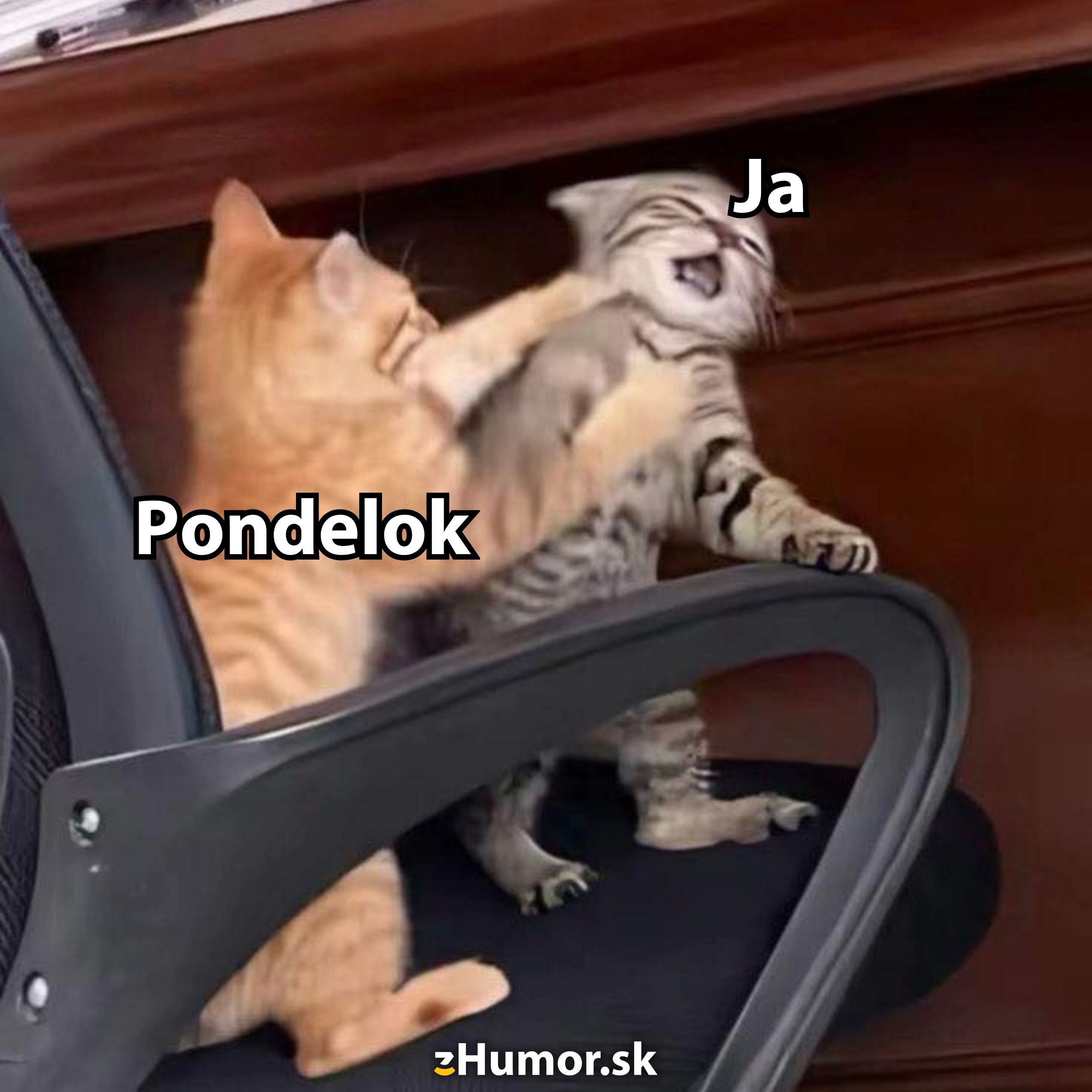 Dva mačky bojujúce na stoličke s textom „Pondelok“ a „Ja“. Zábavný obrázok zachytávajúci pondelkový pocit.
