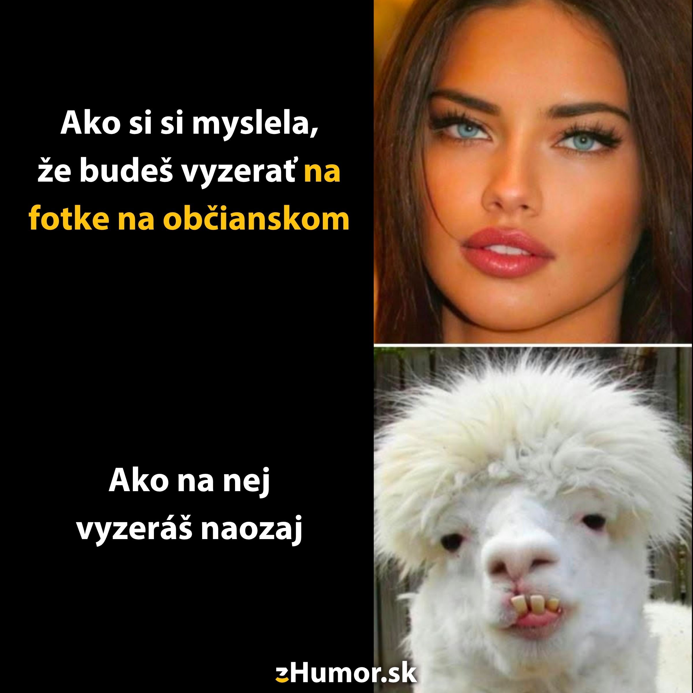 Vtipné porovnanie: očakávanie vs. realita fotiek na občianskom preukaze s krásnou ženou a alpakou.