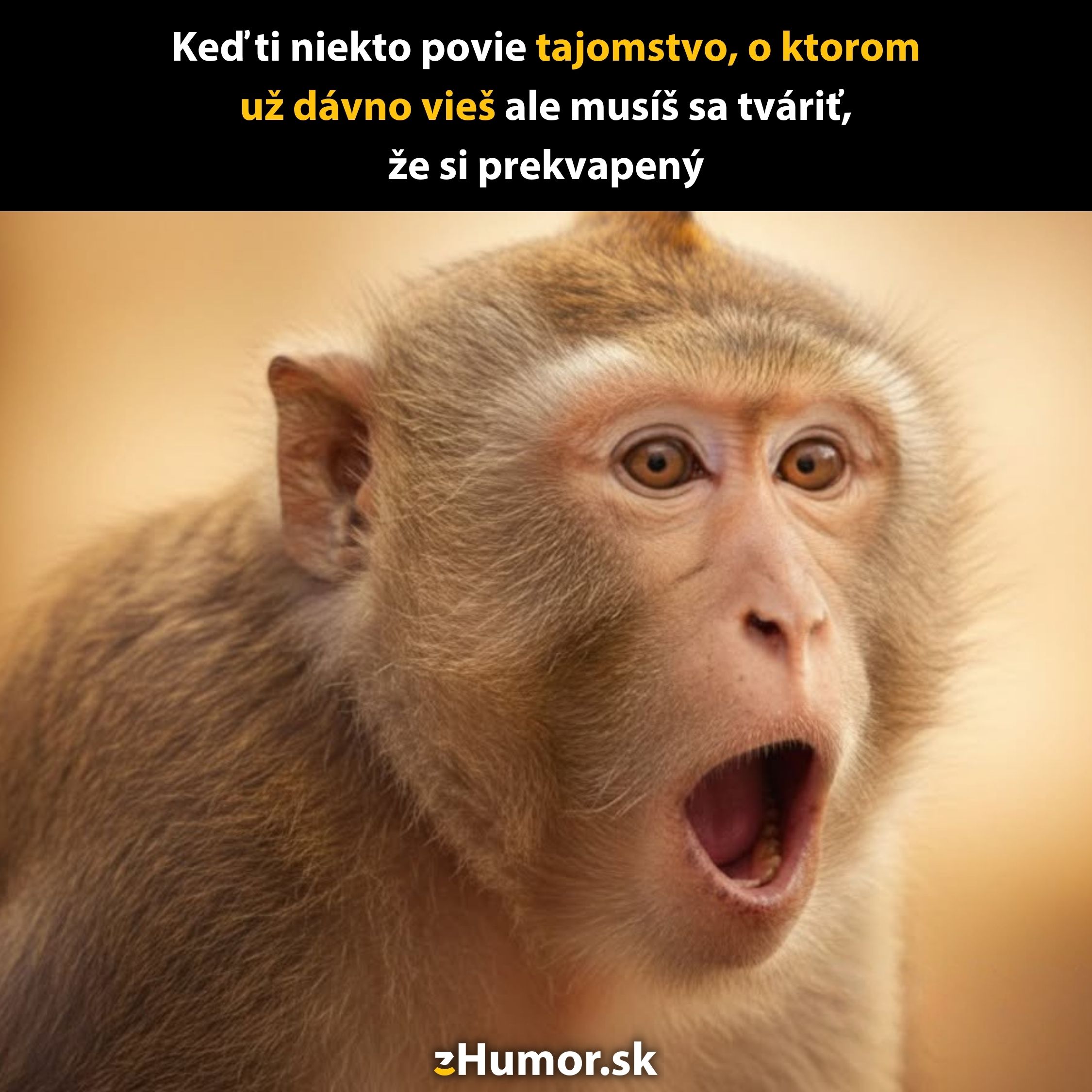 Prekvapená opica s otvorenými ústami, keď sa tvárime prekvapene, aj keď už tajomstvo poznáme.