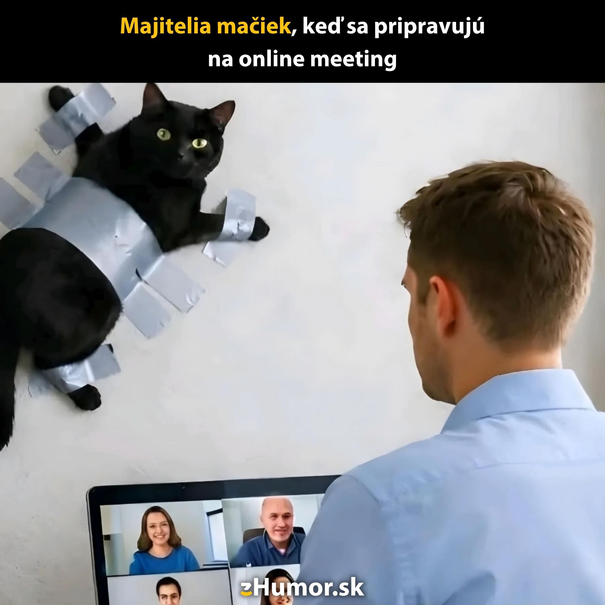 Muž s online stretnutím, zatiaľ čo mačka je prilepená páskami na stenu.