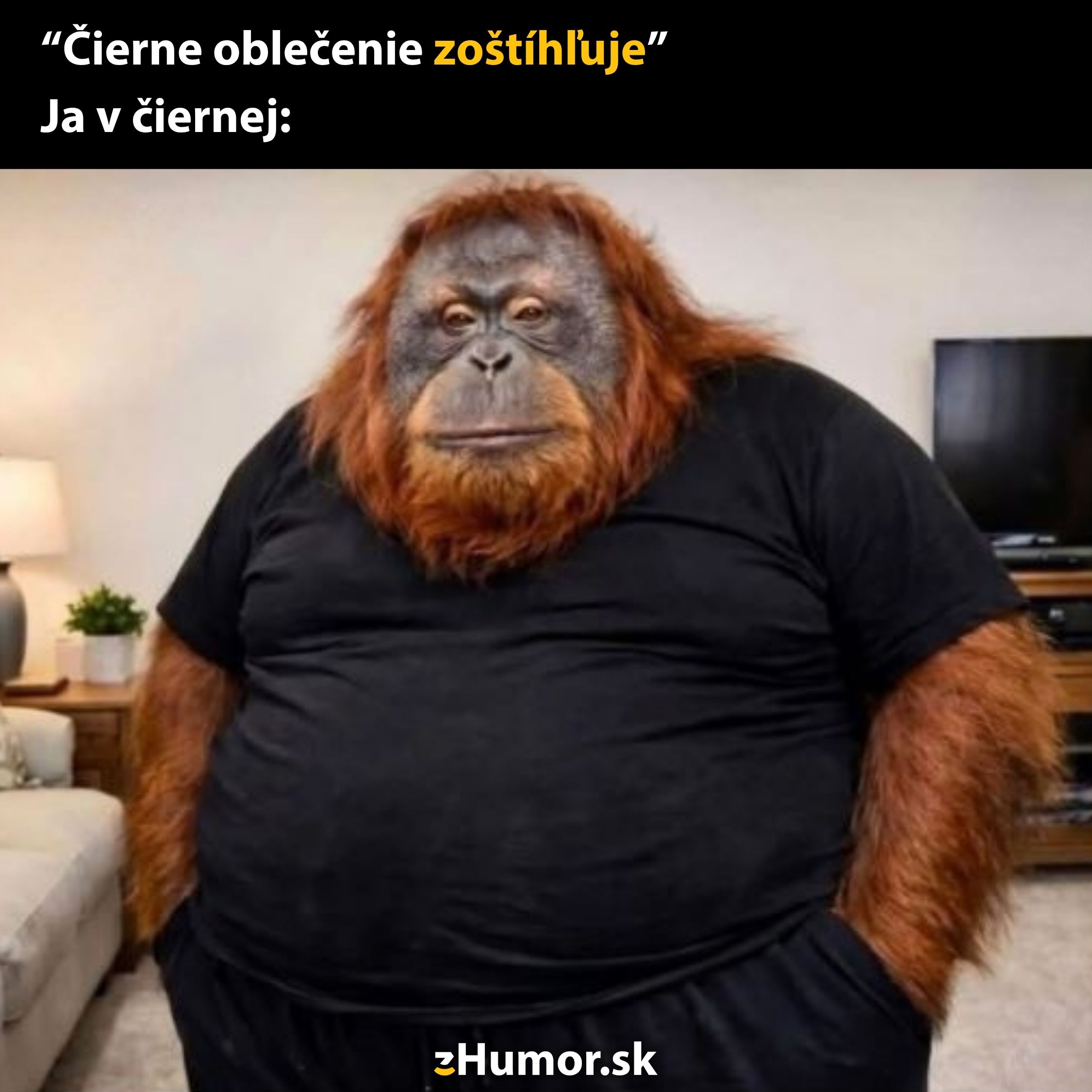 Opica v čiernom tričku sedí na pohovke, vtipne komentujúc tvrdenie, že čierna farba zoštíhľuje.