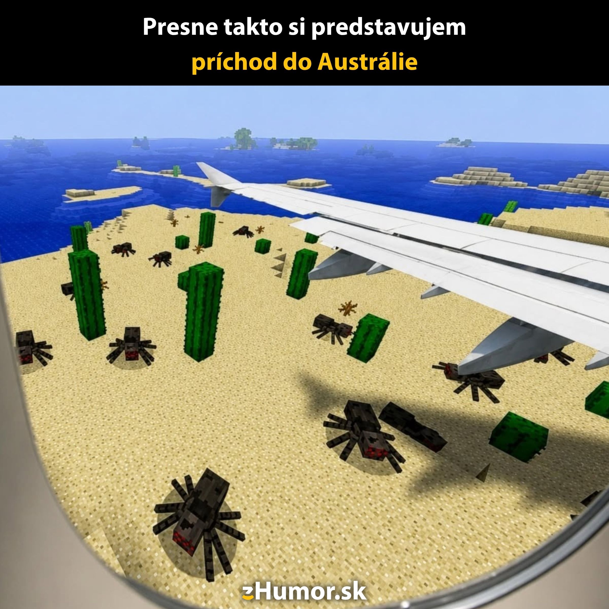 Pohľad z lietadla na Minecraft púšť s pavúkmi a kaktusmi, humorne pripomínajúci Austráliu.
