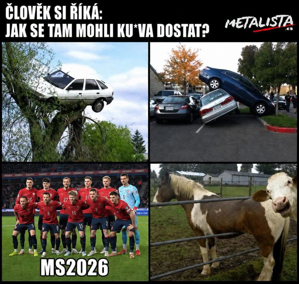 Vtipný koláž štyroch obrázkov: auto v strome, prevrátené autá, futbalisti a kôň s kravou na farme.