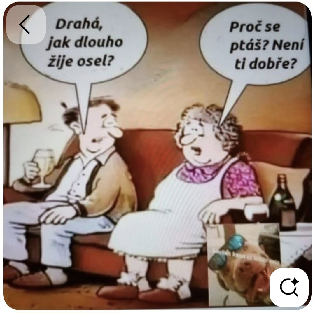 Muž a žena sedia na gauči, vtipný dialóg o somárovi, kreslený vtip na tému manželského humoru.
